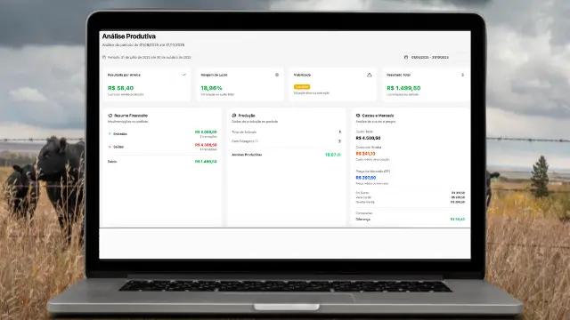 Novo na Pastu: veja o lucro real da sua fazenda, por animal e por arroba