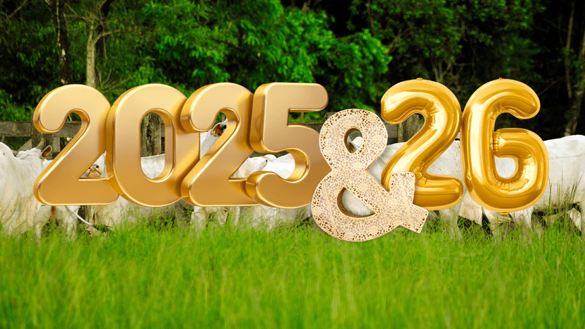 Como começar na pecuária em 2025: guia completo, realista e rentável