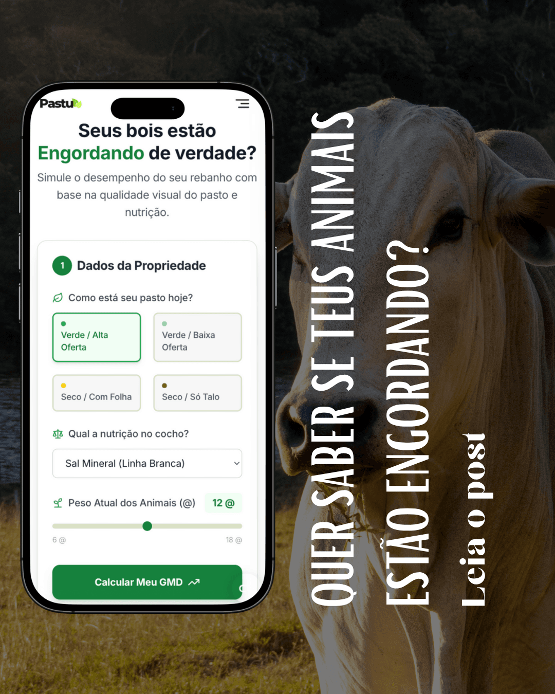 GMD: O número que manda no seu bolso (sem lero-lero)