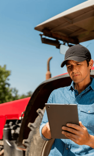 Você registra no app (campo)