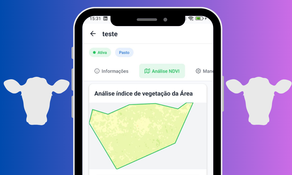 Pasto verde e saudável com gado