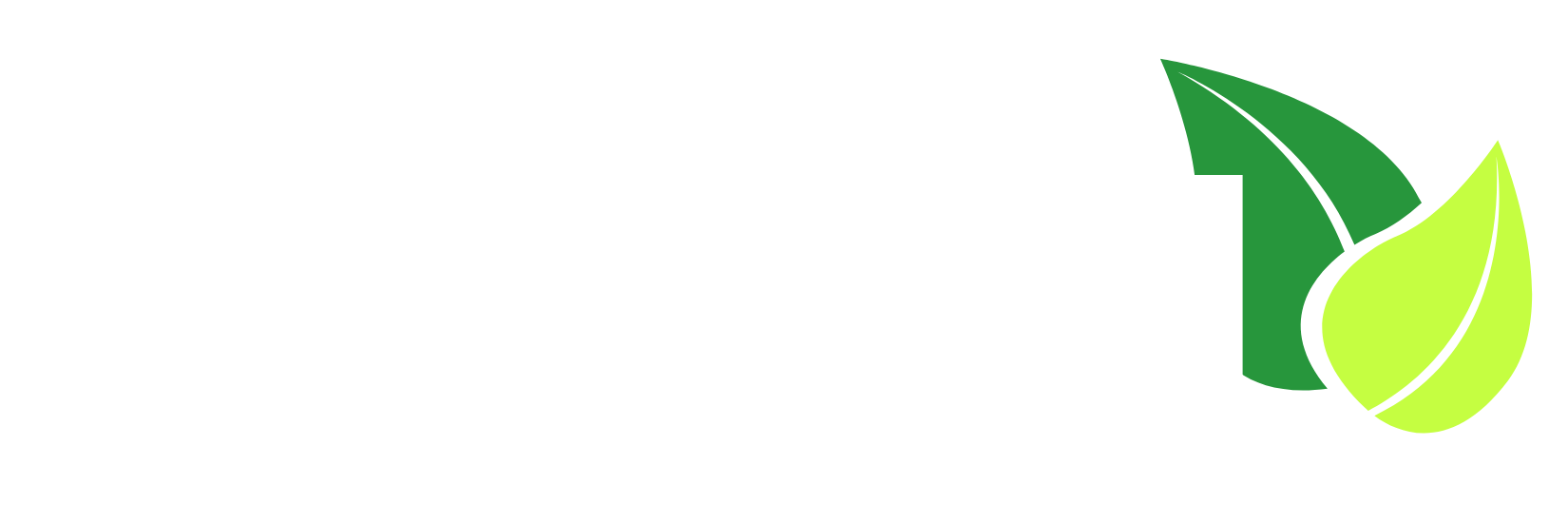 Pastu